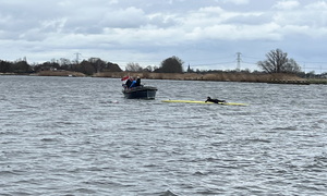 20260218-lisetlotte-omgeslagen-rrc